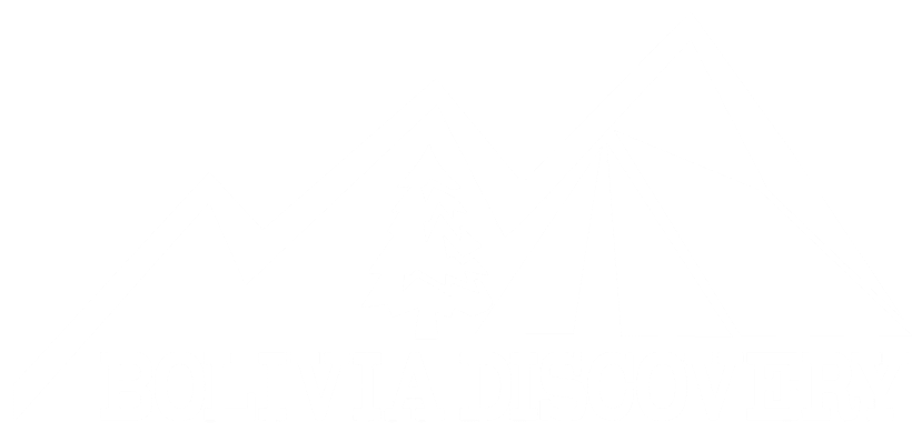 Logo Bolivia Discovery